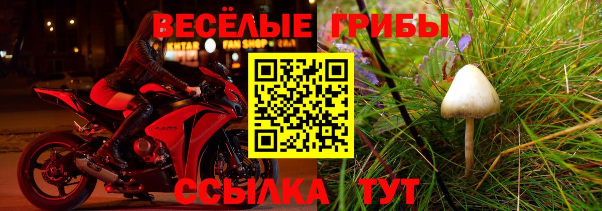 Псилоцибиновые грибы Psilocybine cubensis  Вход с VPN  Можайск 